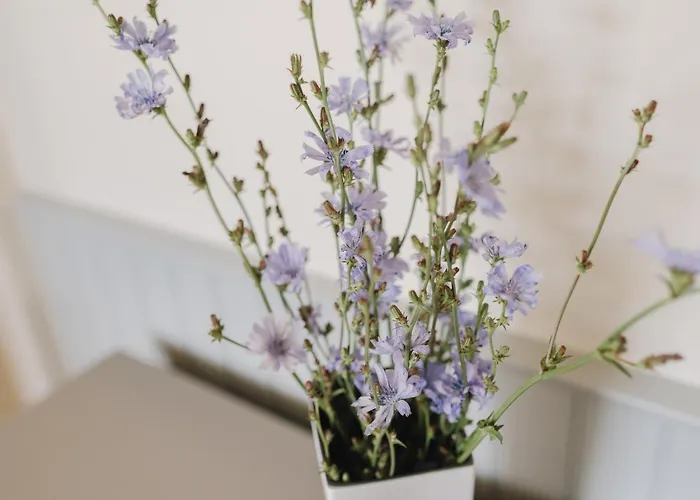 Hotel apartamentowy Fannyhof